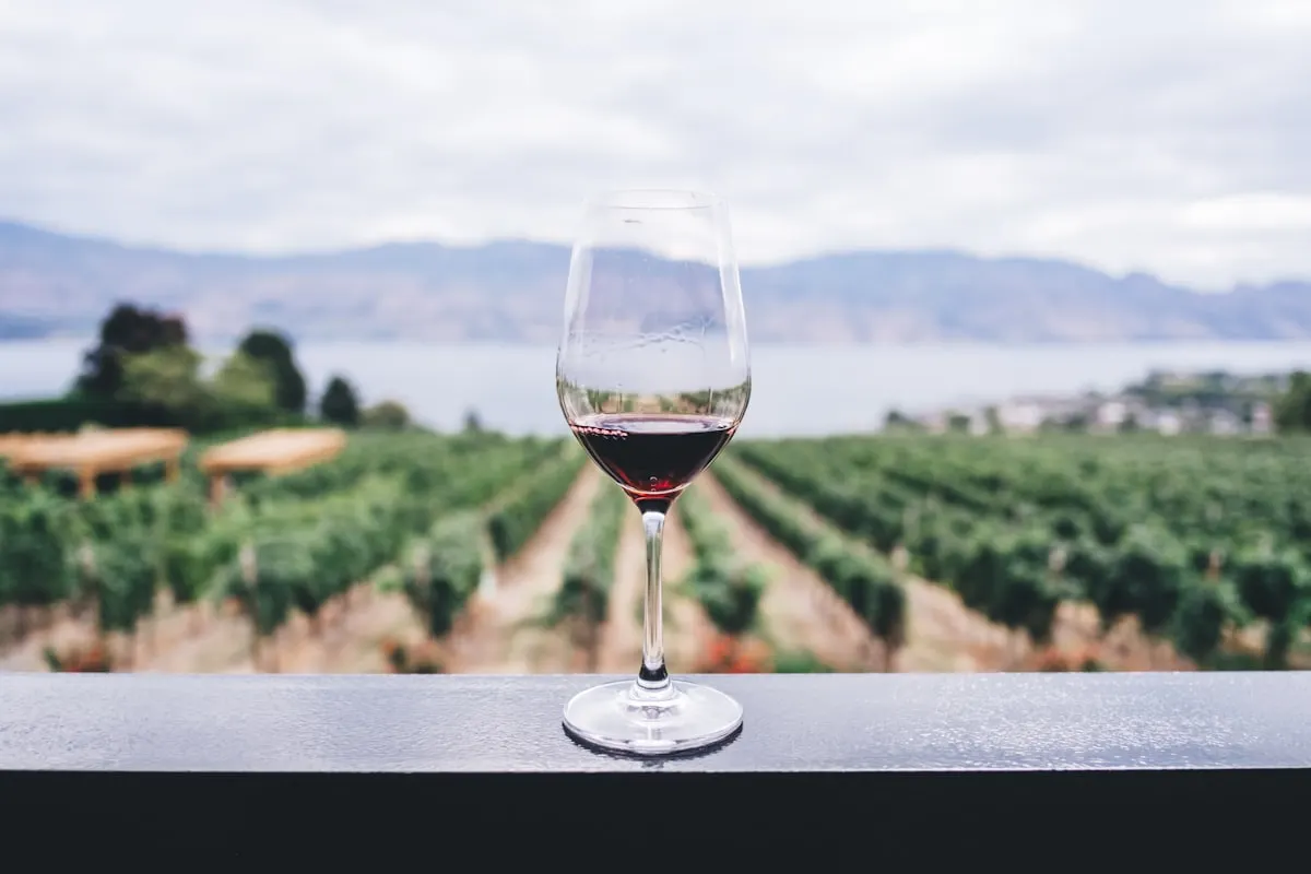 Douro Valley Tours
